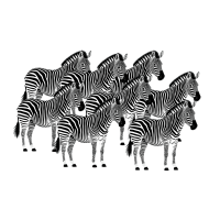 zh_investoren