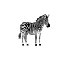 zh_zebras