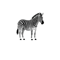 zh_zebras